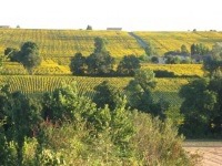 photo campagne